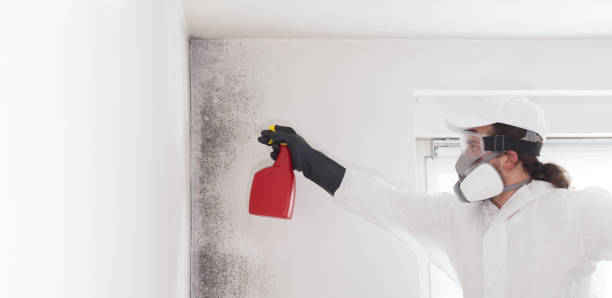 Crawl Space Mold Removal in Sandia Knolls, NM